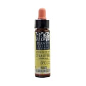 Floraler Elixier N6 Cerasifera 10 ml von Artesania Agricola
