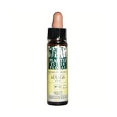 N13 Aulaga 10 ml de Artesania Agricola