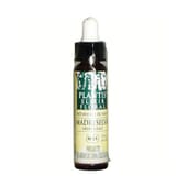 N16 Geißblatt 10 ml von Artesania Agricola