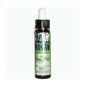Hyperaktivität 5 10 ml von Artesania Agricola