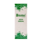 Esencia Romero 15 ml de Bellsola