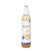 Leticaderm Lotion 200 ml von Leti Pharma