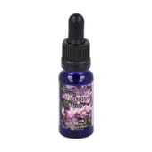 Centaurea Menor Luz 15 ml da Esencia Triunidad