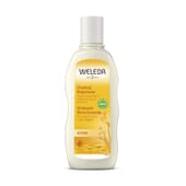 Repair Hafershampoo 190 ml von Weleda