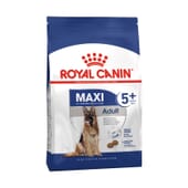 Hundefutter Erwachsene +5 Jahre Große Hunderassen 4 Kg von Royal Canin