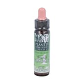Heilmittel 4 Ängste Unsicherheiten 10 ml von Artesania Agricola