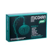 Micoxan Immunflu 40 Caps von Santiveri