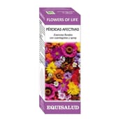 Flower Of Life Perdas Afetivas 15 ml da Equisalud